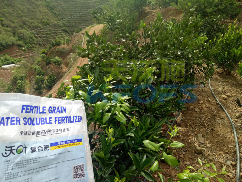化肥到水溶肥的完美轉(zhuǎn)型之路1.png
