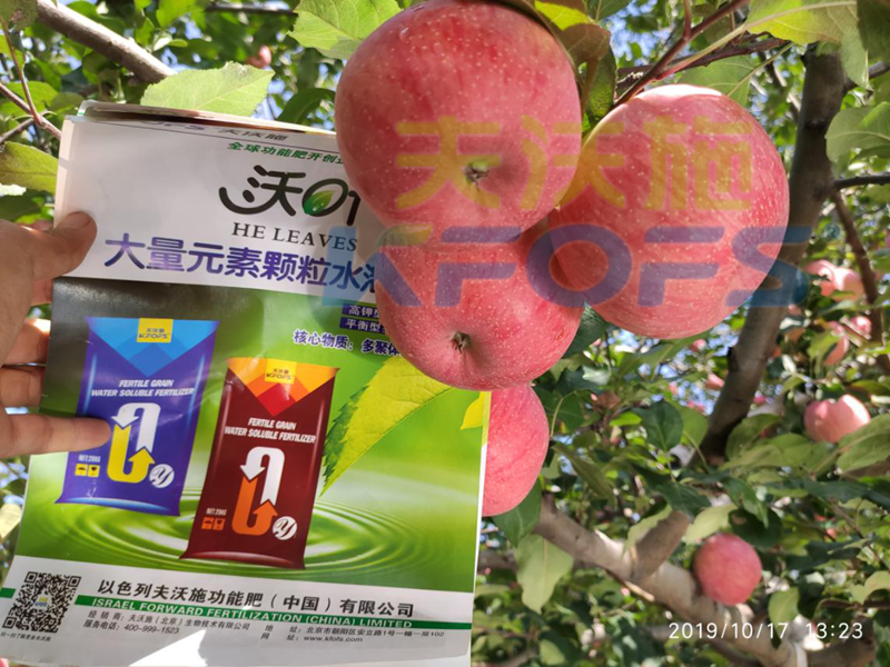 顆粒水溶肥的特點和使用方法