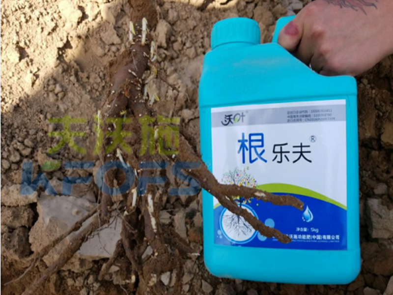 水溶肥越來(lái)越難做，他竟然能如此輕松？讓我們一探究竟！