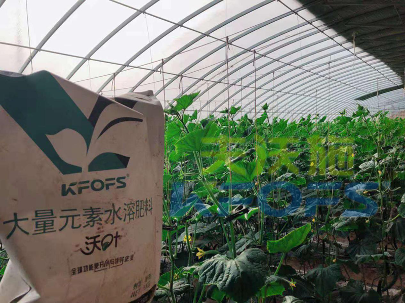 進口肥產品深受用戶歡迎的原因