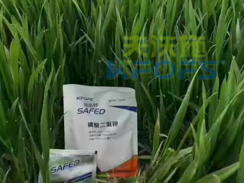 磷酸二氫鉀怎么使用，作物才能長得好