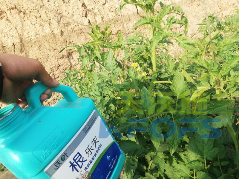 生根劑用多了燒根嗎？