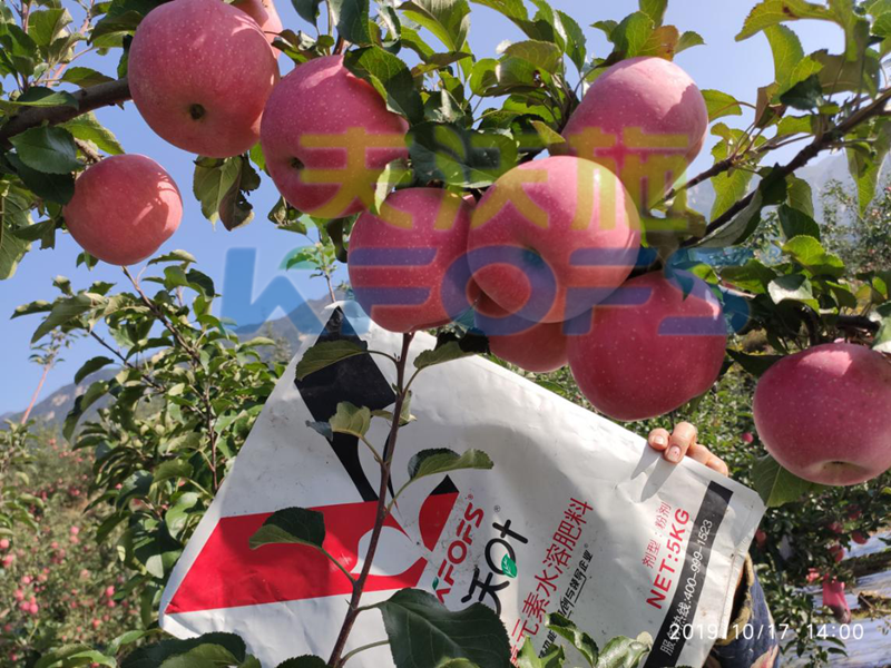 水溶肥-蘋果使用沃葉水溶肥效果 .png