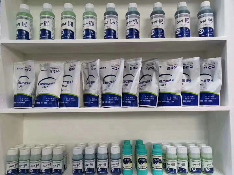 水溶肥這樣操作，想不上量都難