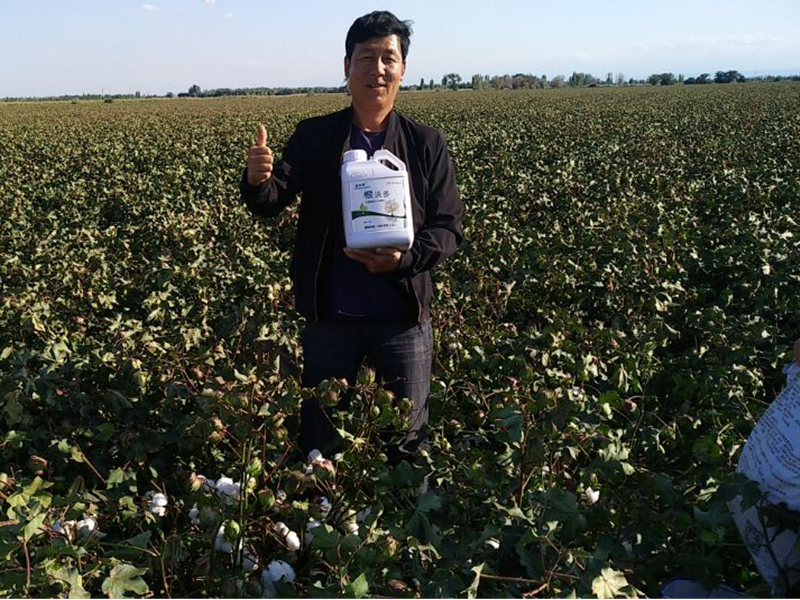 采法特水溶肥效果怎么樣？