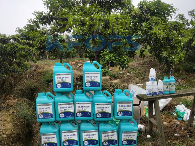 水溶肥在柑橘上怎么使用效果好，一定要收藏