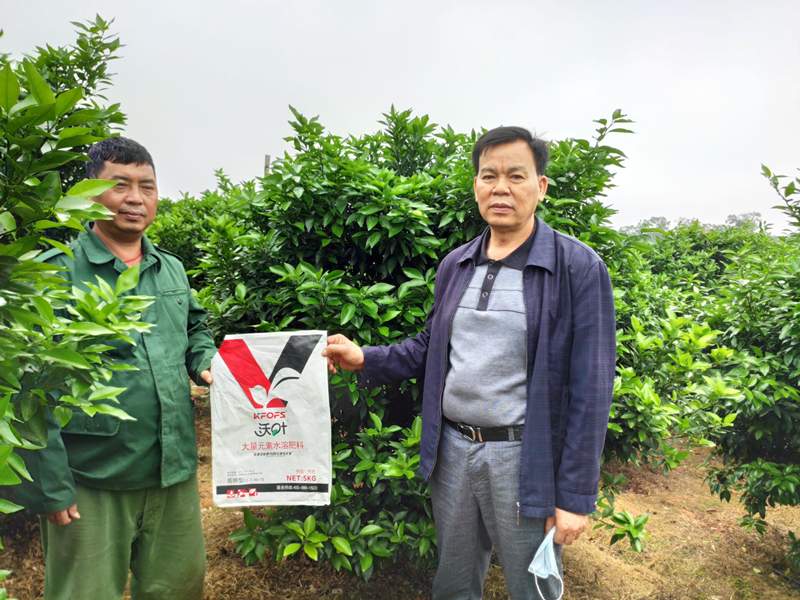 大量元素水溶肥-柑橘用沃葉大量元素水溶肥效果.png