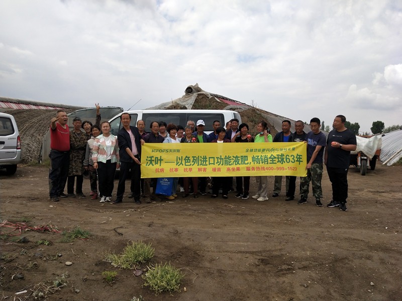 夫沃施是不是進(jìn)口肥料？