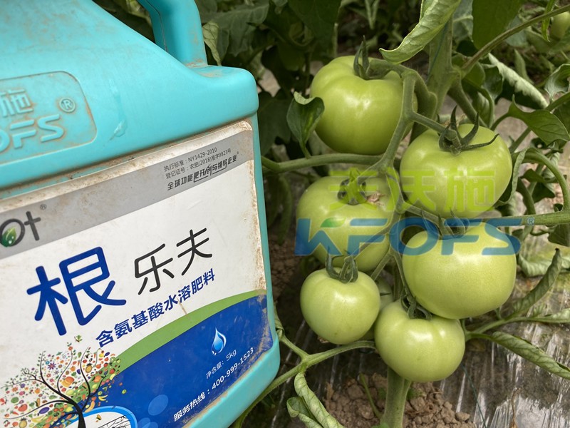 快速生根劑可以用嗎？