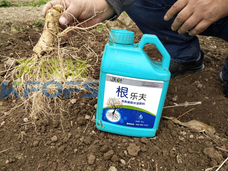 沃葉水溶肥怎么樣？聽聽種植戶的回答