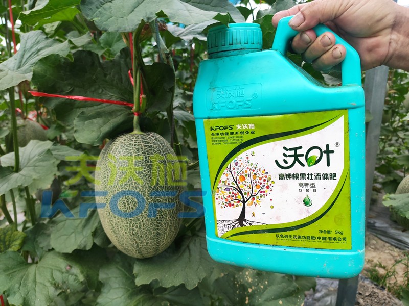 水溶肥廠家值得信賴(lài)的原因有哪些