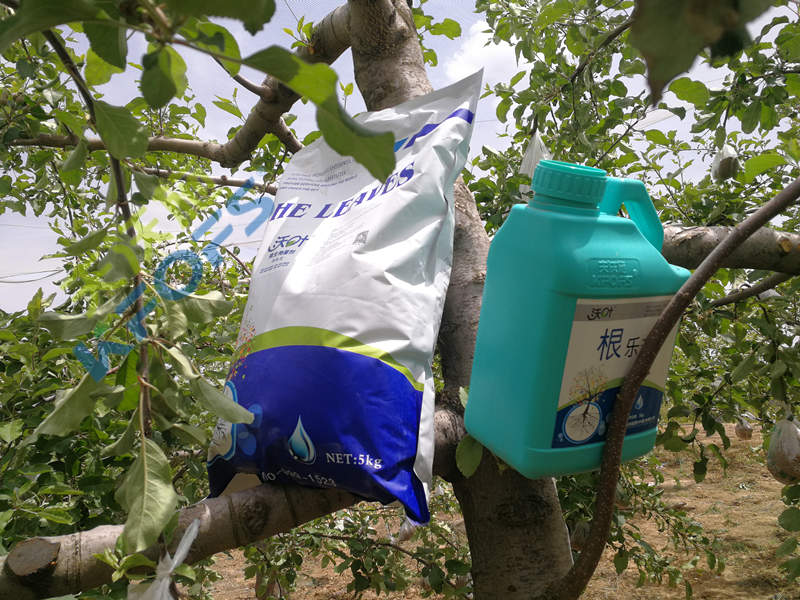 沃葉水溶肥怎么樣？種植戶的心聲
