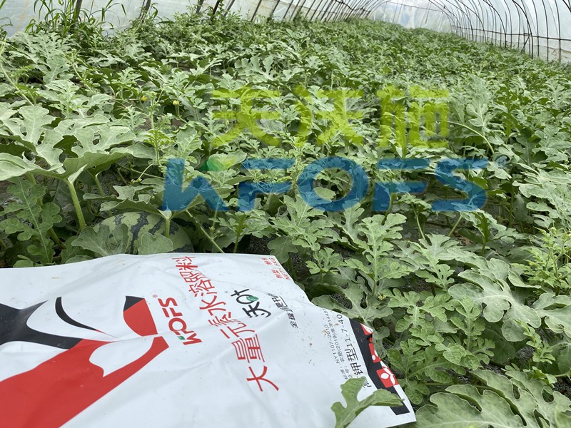 沃葉水溶肥怎么樣？這么多種植戶選擇