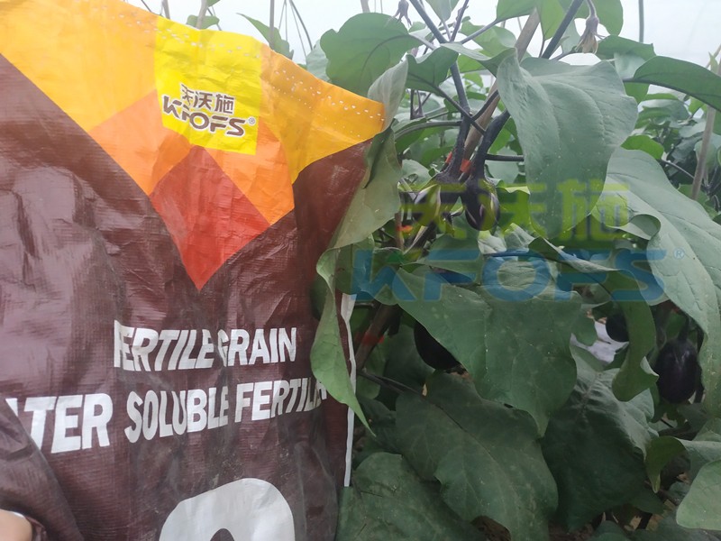 水溶肥廠家那么多，如何判斷值不值得信賴