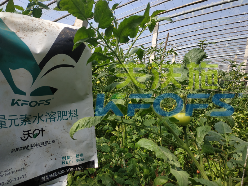 水肥一體化如何使作物高產(chǎn)？