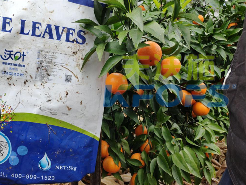 微生物菌劑品牌中的它，為何如此受歡迎