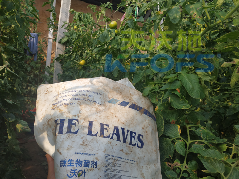 微生物菌劑哪家好？少走彎路不上當(dāng)