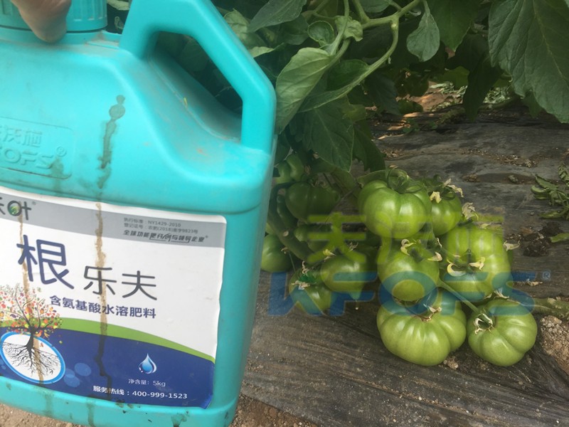 夫沃施沃葉水溶肥，受歡迎的幾點(diǎn)