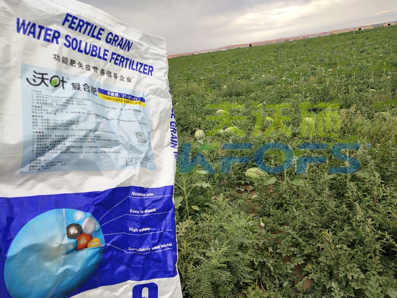 顆粒水溶肥與粉劑水溶肥的區(qū)別？