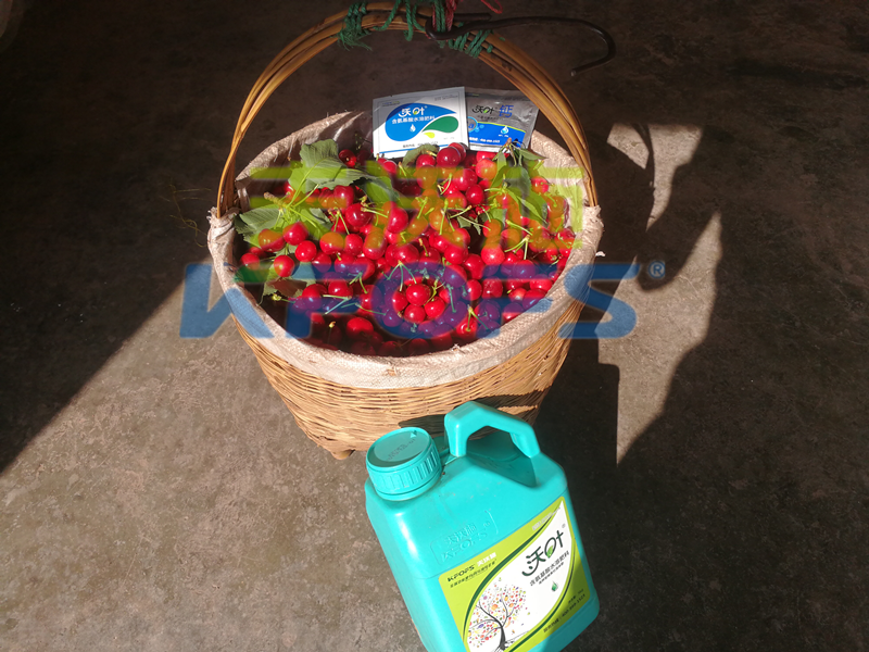 水溶肥哪家好？看看果農(nóng)們認可的水溶肥品牌