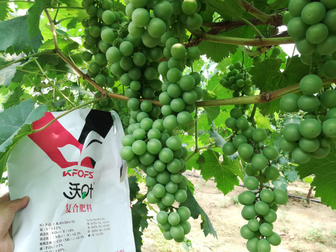 水溶肥哪家好？如何選擇