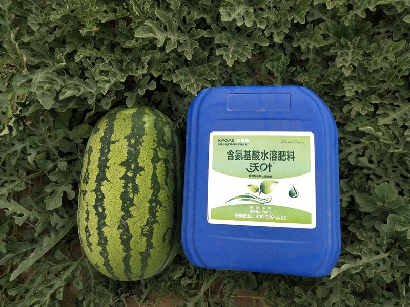 水溶肥使用注意事項(xiàng)，你了解多少