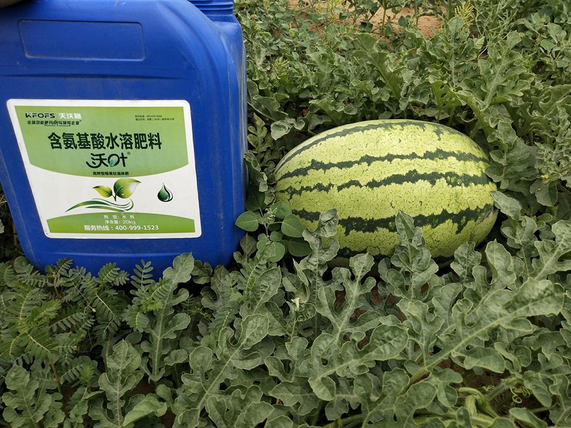 教你挑選一款有核心競爭力的水溶肥品牌！