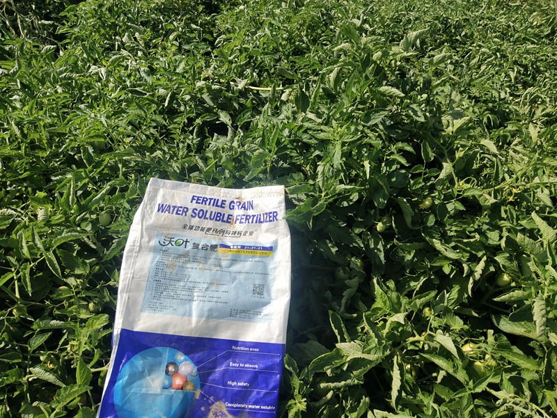 水溶肥這樣用效果好，你知道嗎？