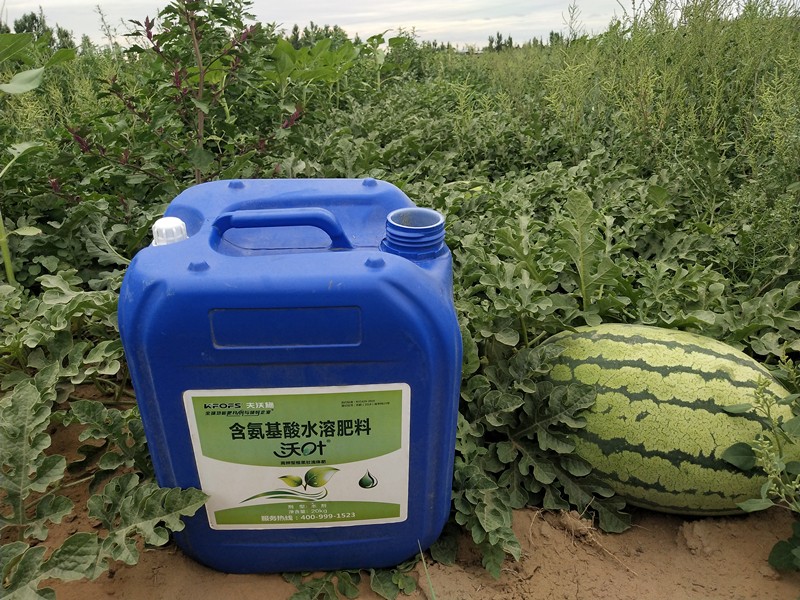 水溶肥品牌中，沃葉口碑人人稱贊！