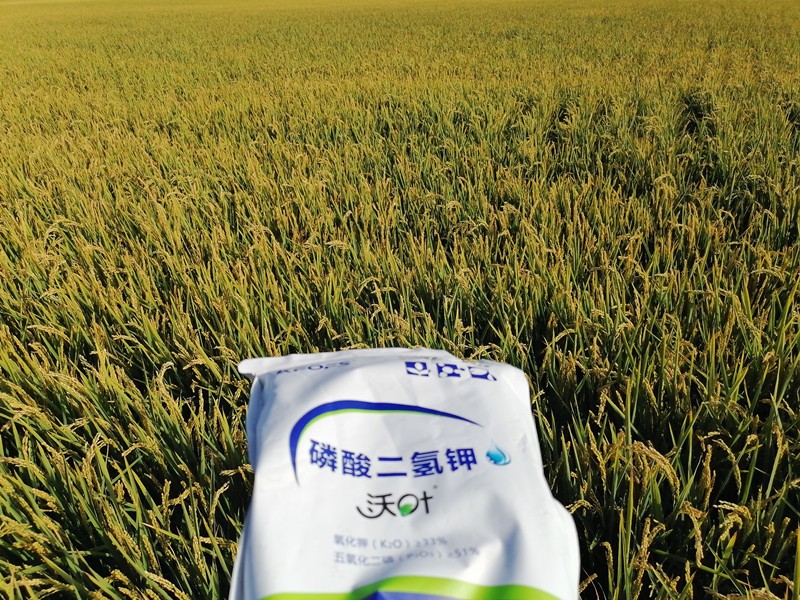 三分鐘看懂磷酸二氫鉀哪個品牌好！