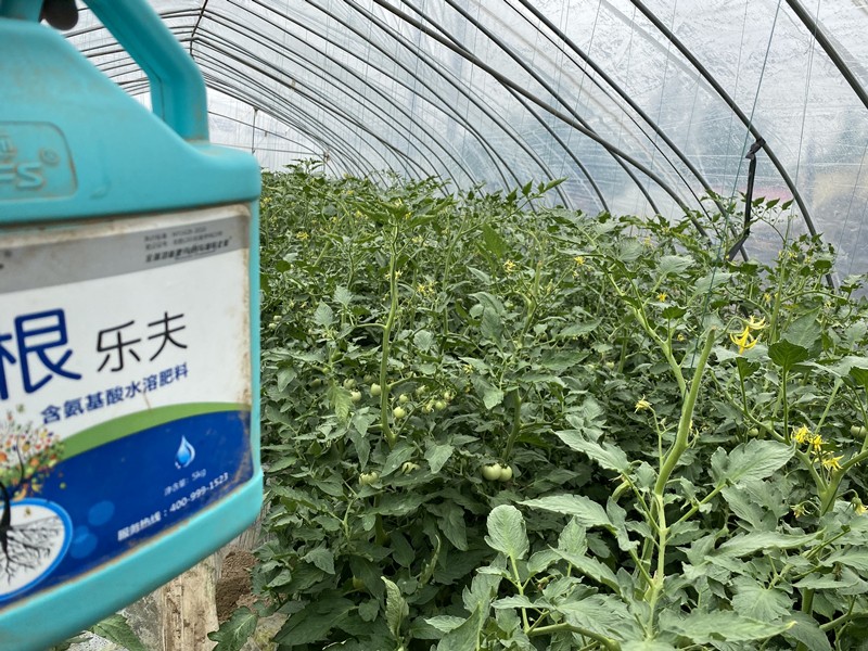 生根肥選它，生根壯苗更省心