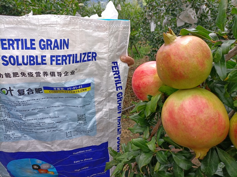 顆粒水溶肥廠家，老農(nóng)資人都認準(zhǔn)了夫沃施