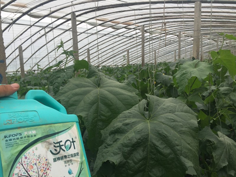 選擇施作沖施肥前應(yīng)明確哪些信息 選擇施作沖施肥前應(yīng)明確哪些信息