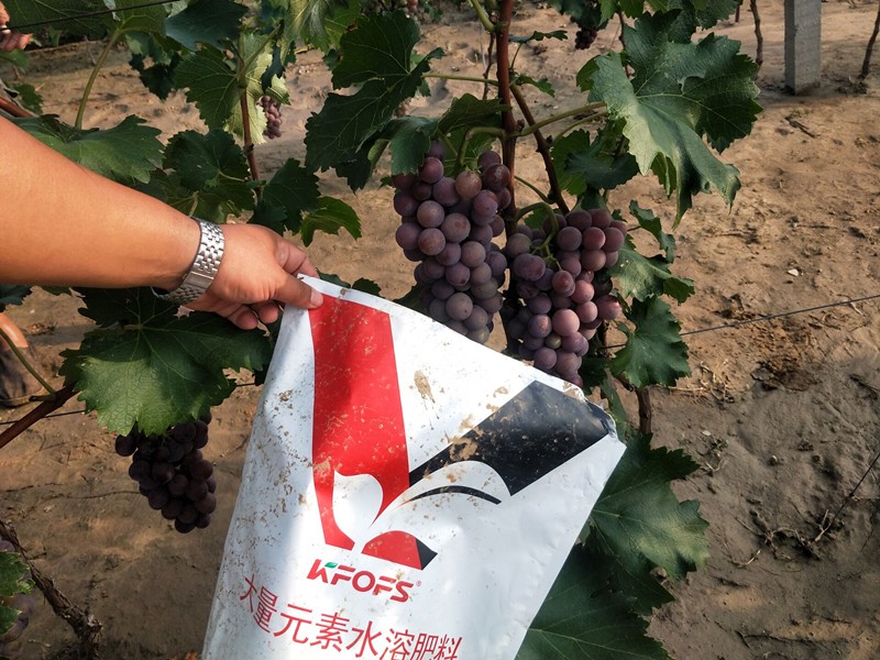 大量元素水溶肥，可以按照這個標(biāo)準(zhǔn)選