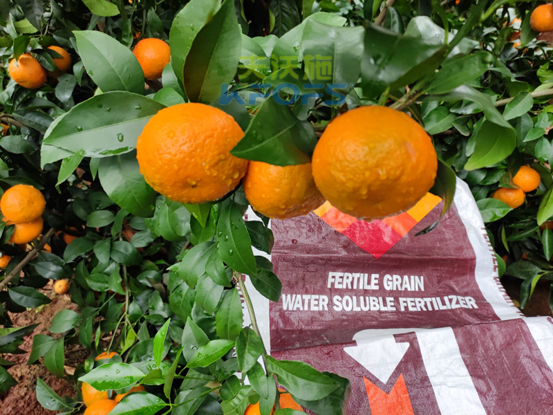 進(jìn)口水溶肥到底怎么樣？郭老板告訴你這些