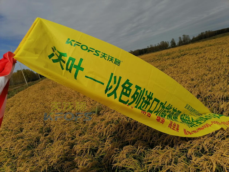 水稻怎樣施肥才能高產(chǎn)？附關(guān)鍵期施肥方案！