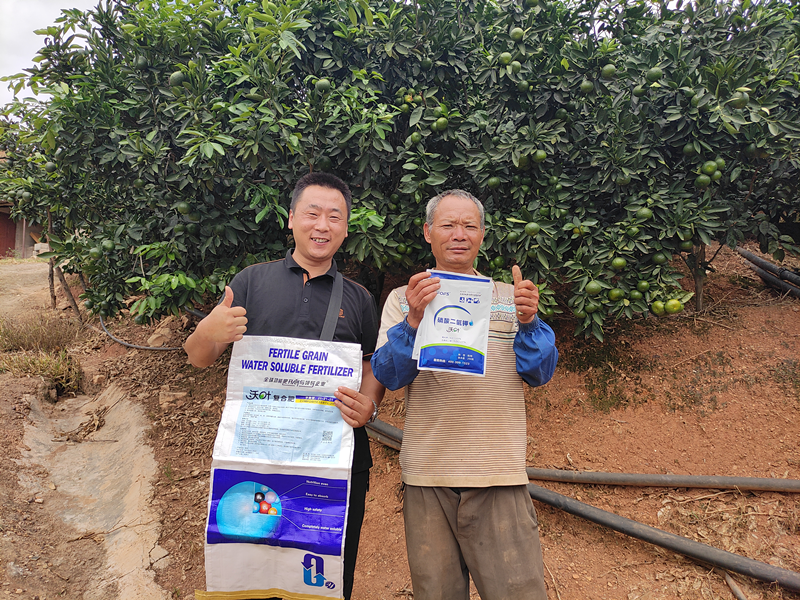 水溶肥施用幾大誤區(qū)，千萬不要再犯