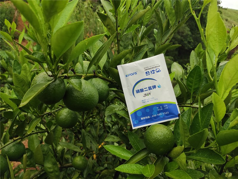 磷酸二氫鉀生產(chǎn)廠家的產(chǎn)品有哪些優(yōu)勢(shì)？