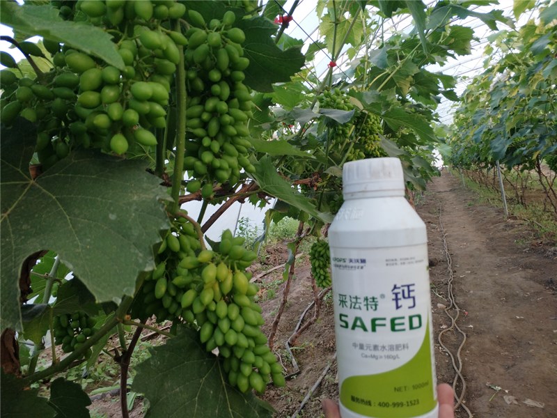 葉面鈣肥什么牌子的好？