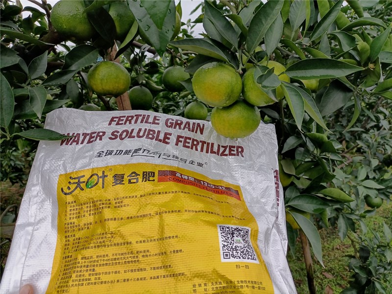 顆粒水溶肥，你不可錯(cuò)過的好產(chǎn)品