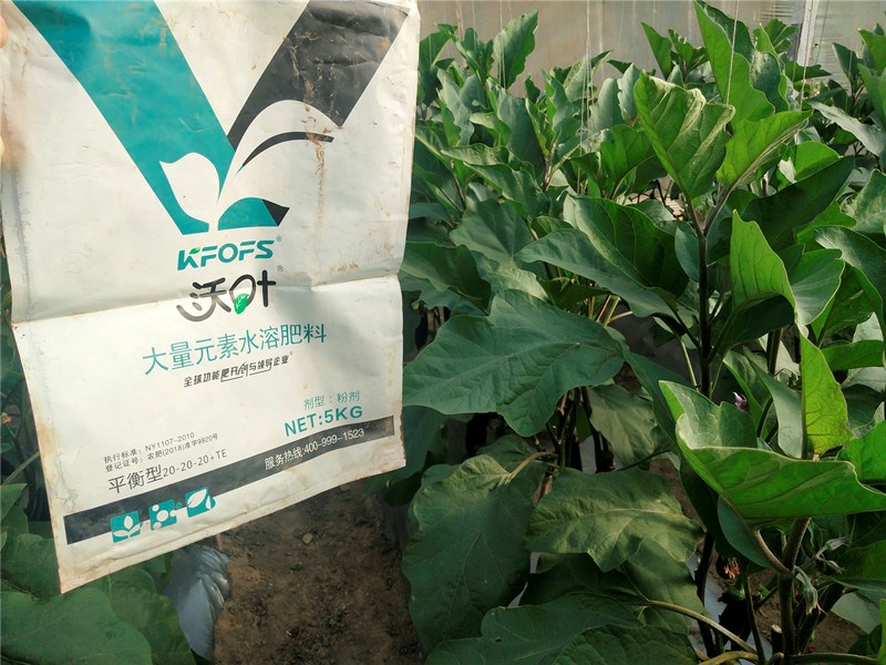 大量元素水溶肥價(jià)格高低差別在哪里? 大量元素水溶肥價(jià)格高低差別在哪里?