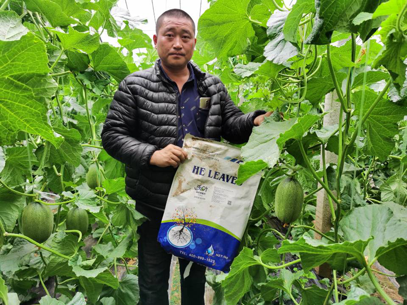 沃葉水溶肥為什么能夠扎根百姓心中? 沃葉水溶肥為什么能夠扎根百姓心中?