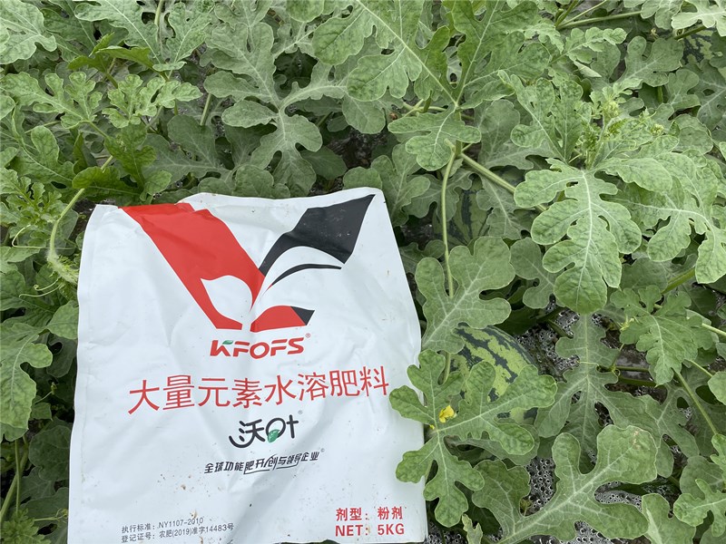 西瓜追肥用什么肥料好,水溶肥怎么樣?