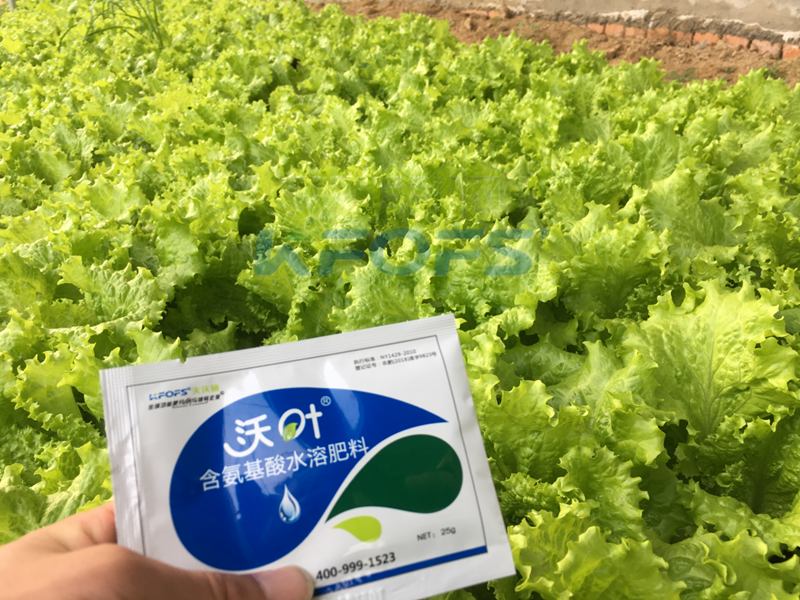 葉面肥哪個(gè)好-沃葉氨基酸葉面肥.png