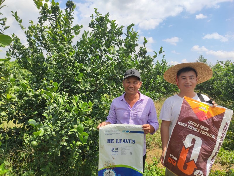 柑橘水溶肥品牌,就要這樣選! 柑橘水溶肥品牌,就要這樣選!