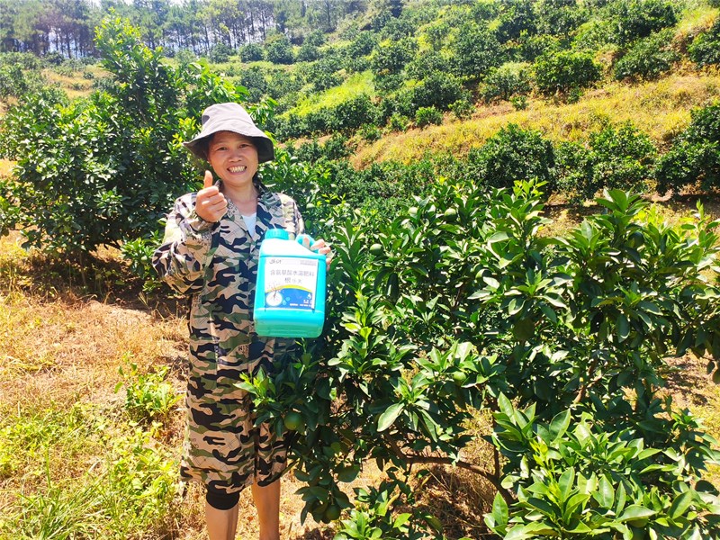柑橘水溶肥哪個牌子更靠譜? 柑橘水溶肥哪個牌子更靠譜?