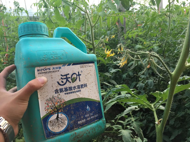 水溶肥如何在冬季使用？