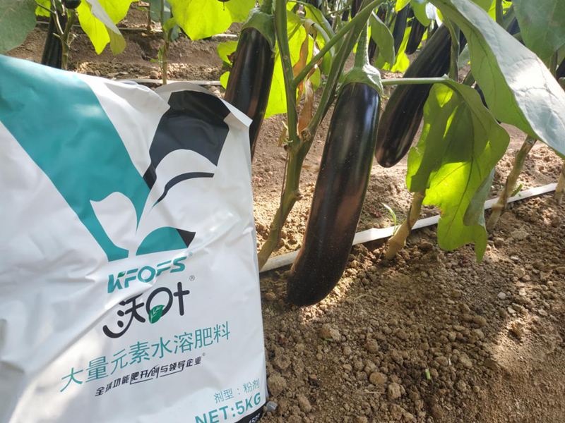 水溶肥-茄子沃葉大量元素水溶肥效果.png