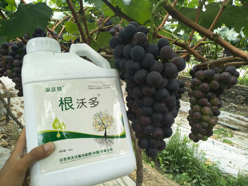 生根劑哪個(gè)好？養(yǎng)根護(hù)根很關(guān)鍵！