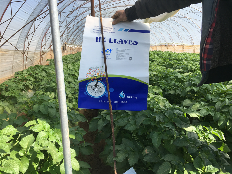 水溶肥使用效果不明顯？那是因為你沒有掌握這幾點